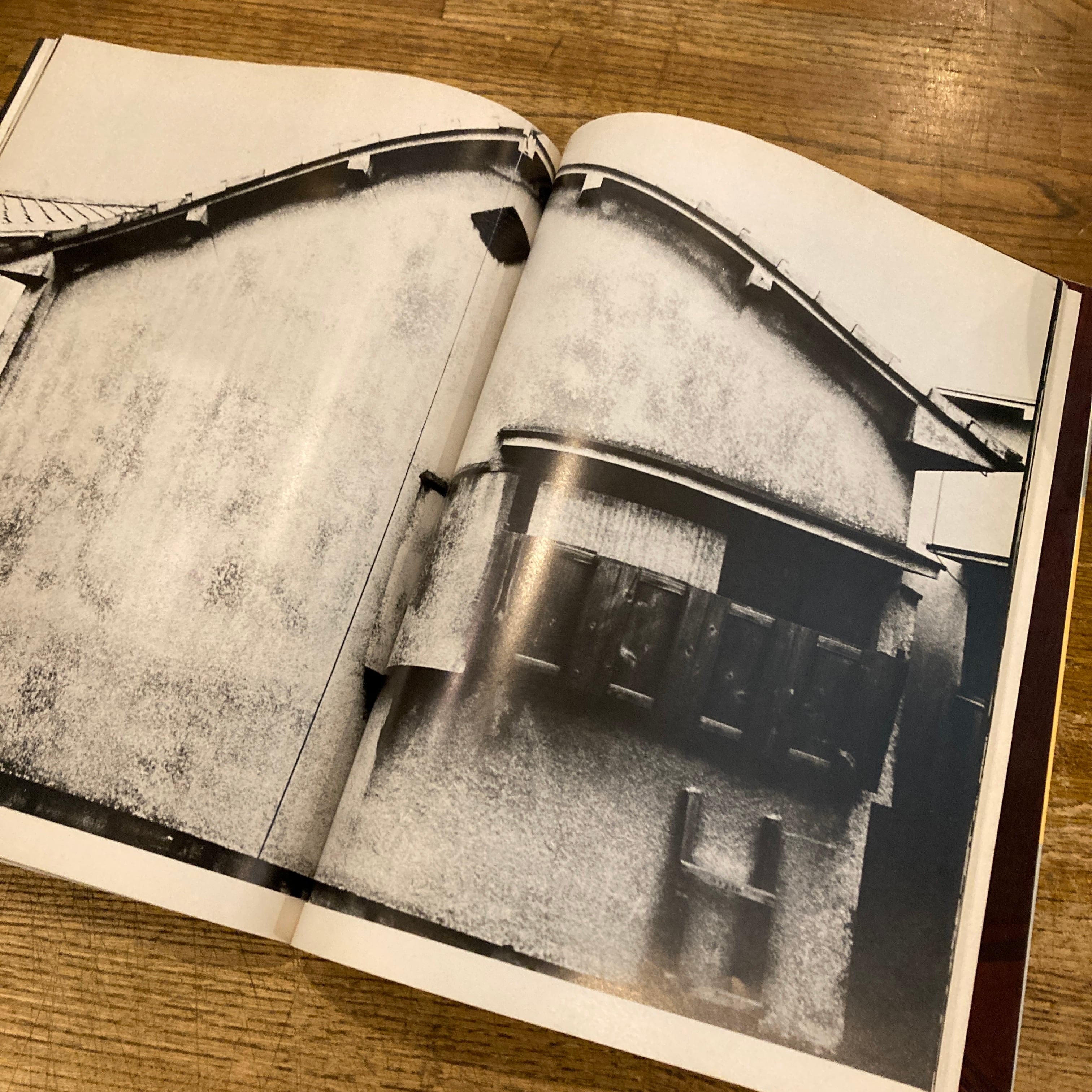 私小説 / 鈴木いづみ、荒木経惟 | 百年