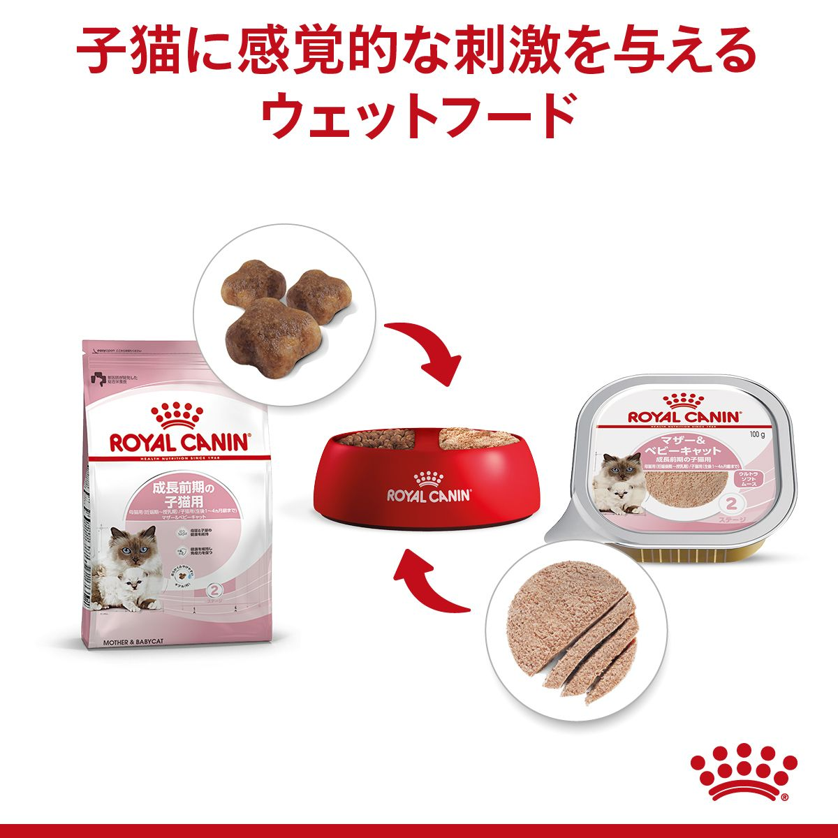 マザー & ベビーキャット（子猫/母猫用 ウェット） | Royal Canin JP