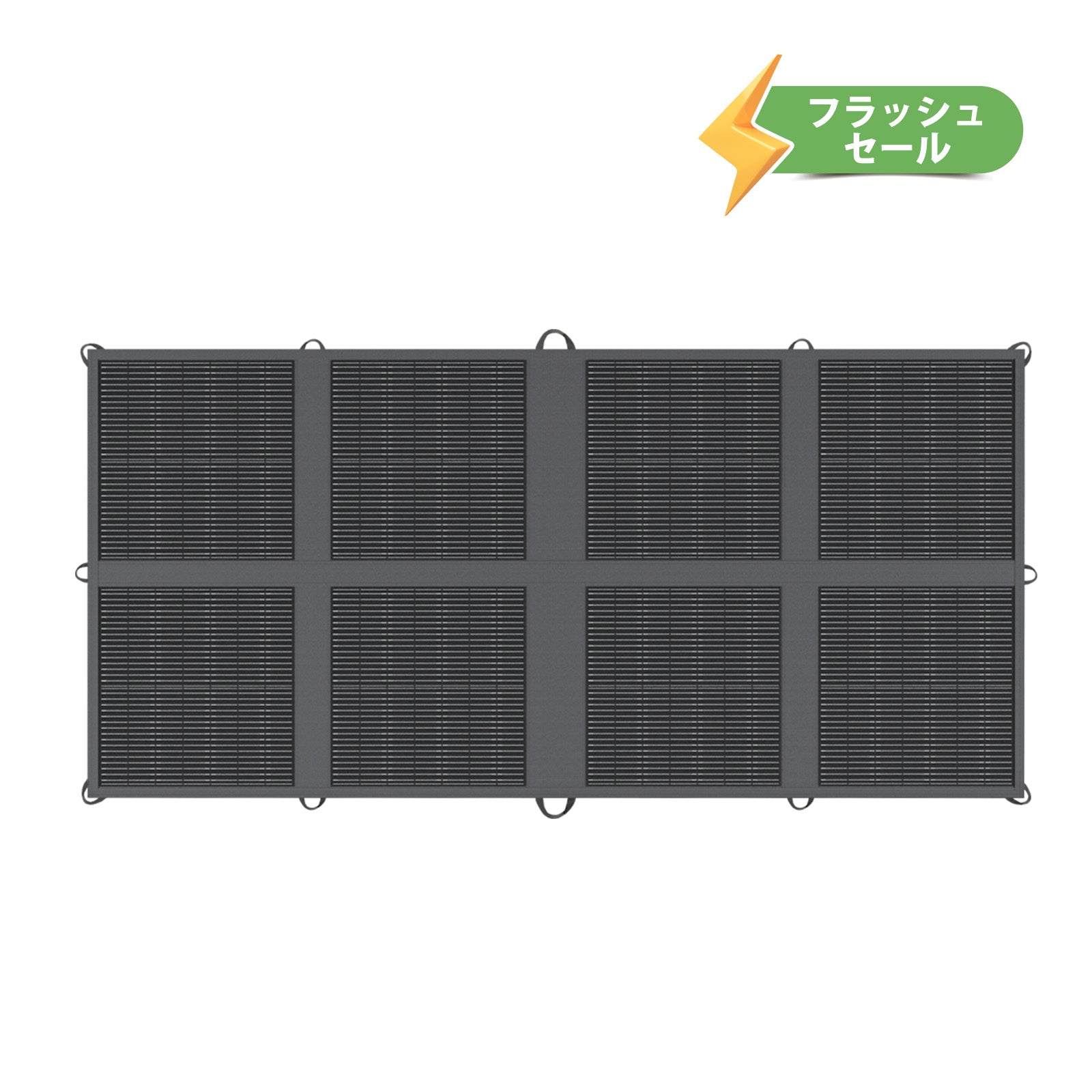 ブラックタイプ フレキシブルソーラーパネル 100W | Renogy JP