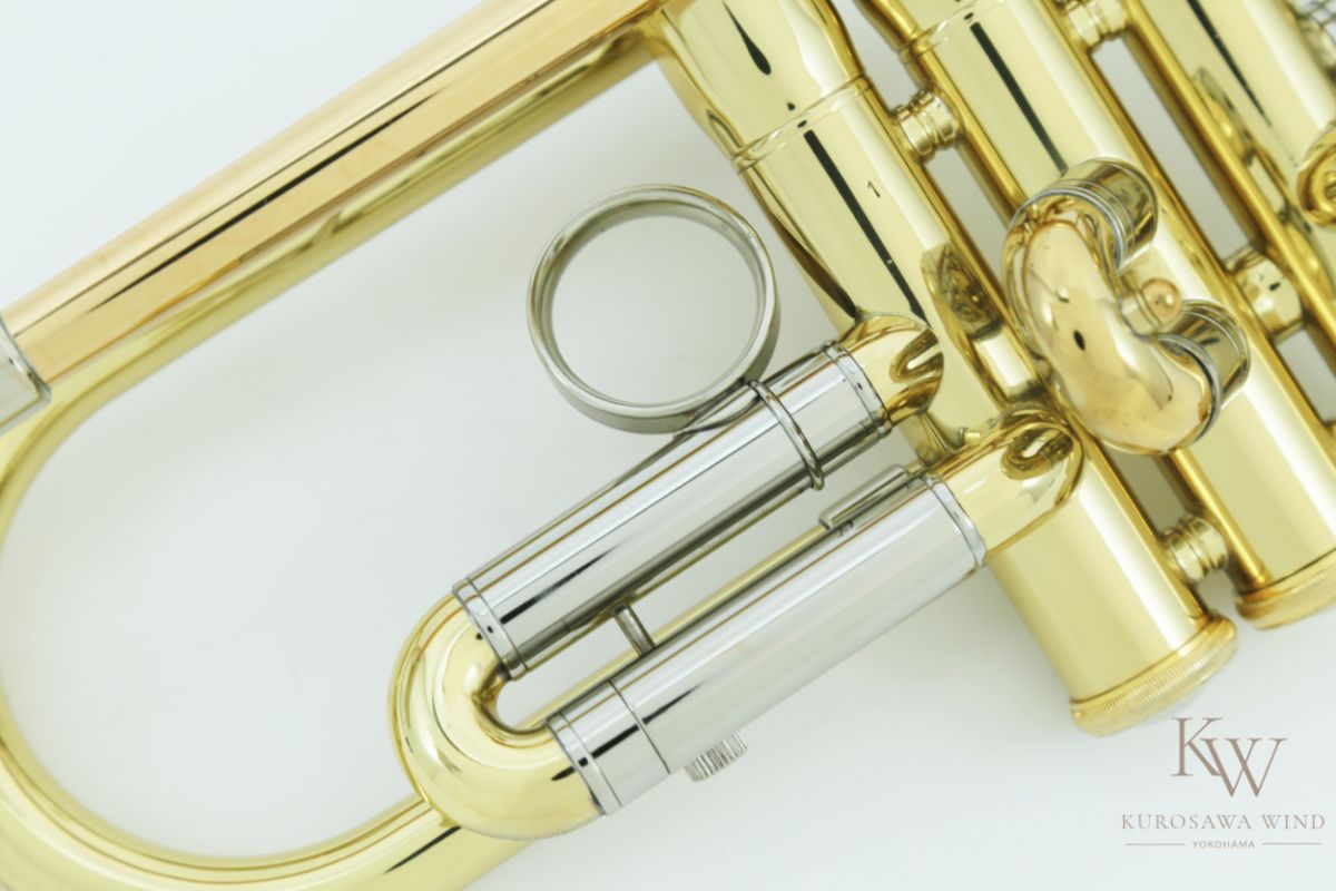 RV-L (S/N 200***)【中古】 | 【クロサワ楽器店オンラインショップ