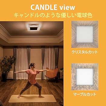 Amazon | HotaluX VIEW LEDシーリングライト ＜日本製＞ ~8畳(日本照明