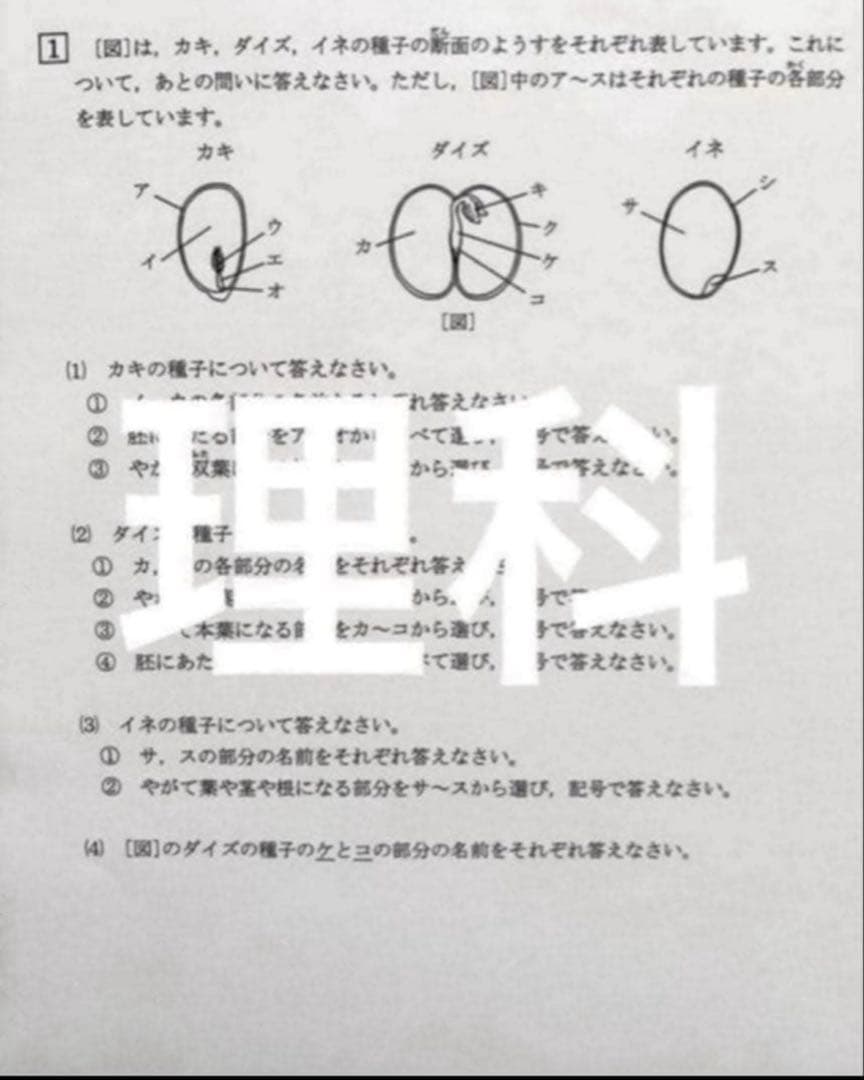 yuzuna様